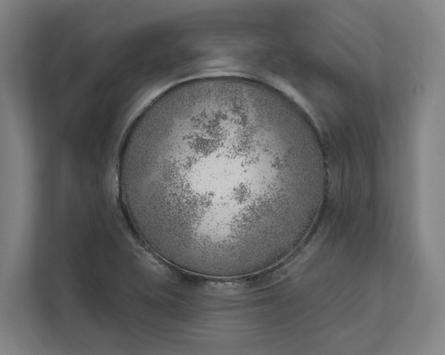 X0000111941415200908101153