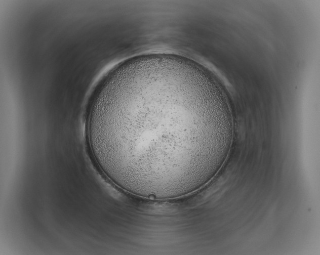 X0000111941416200908101153