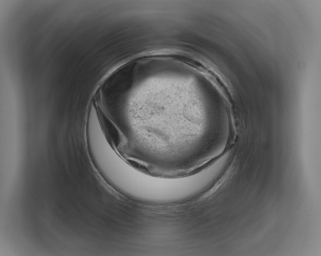 X0000111941417200908101153