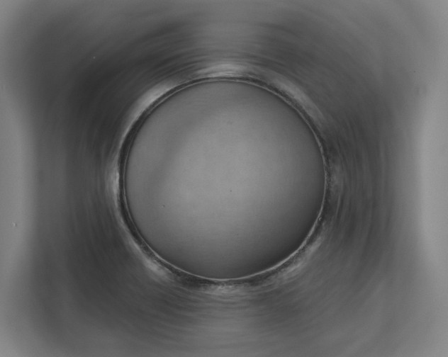 X0000111941418200908101153