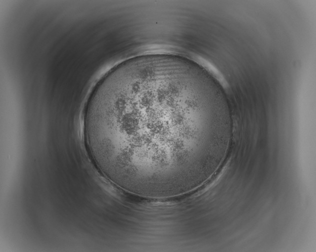 X0000111941419200908101153