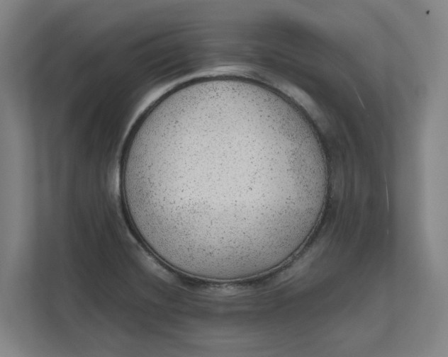 X0000111941420200908101153