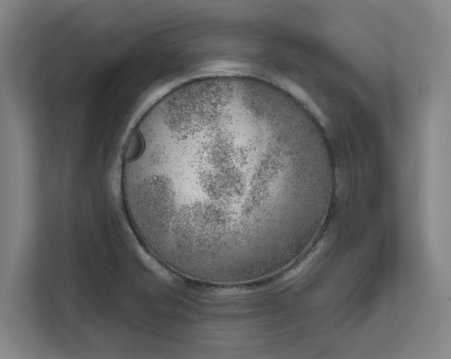 X0000111941421200908101153