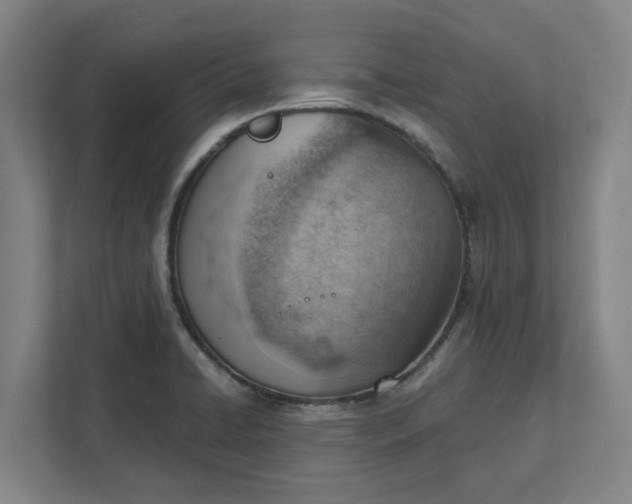 X0000111941422200908101153