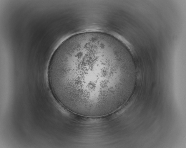 X0000111941423200908101153