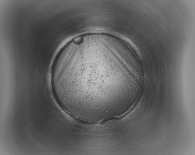 X0000111941424200908101153