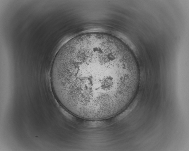 X0000111941425200908101153