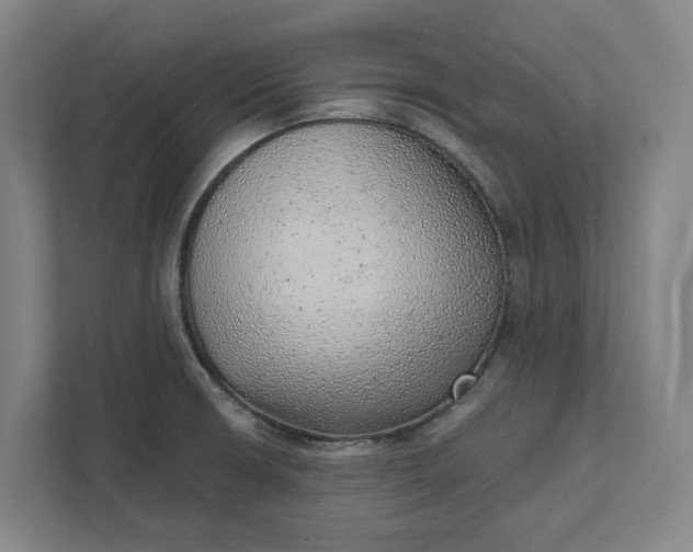 X0000111941426200908101153