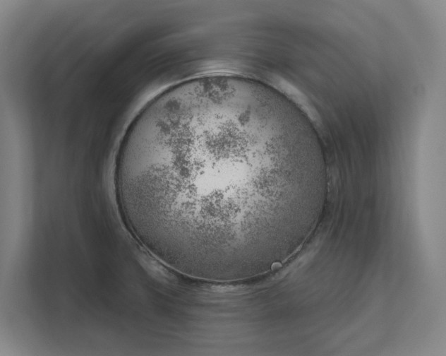 X0000111941427200908101153