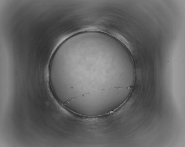 X0000111941428200908101153