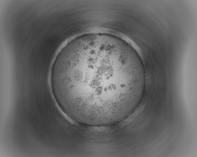 X0000111941429200908101153