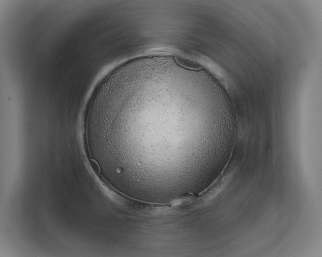 X0000111941430200908101153