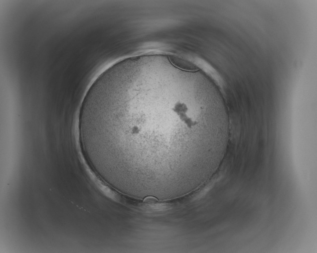 X0000111941431200908101153