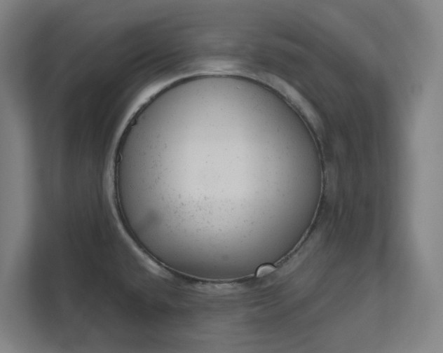 X0000111941432200908101153