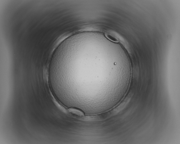 X0000111941433200908101153