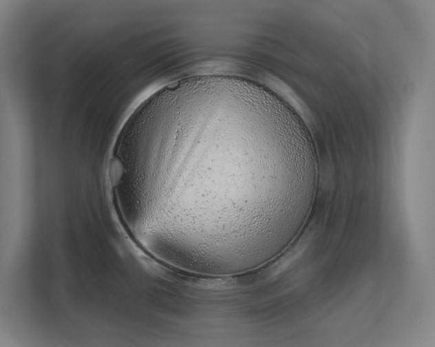 X0000111941434200908101153