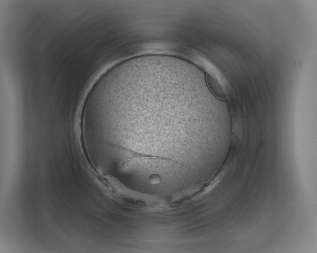 X0000111941435200908101153