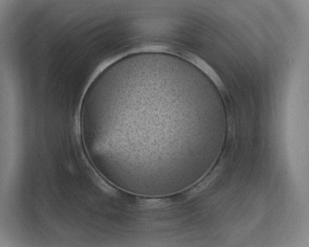 X0000111941436200908101153