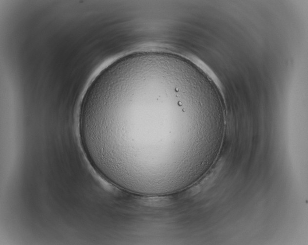 X0000111941437200908101153