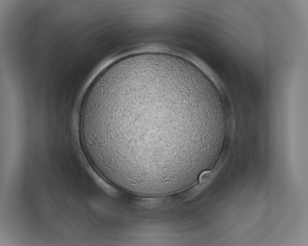 X0000111941438200908101153