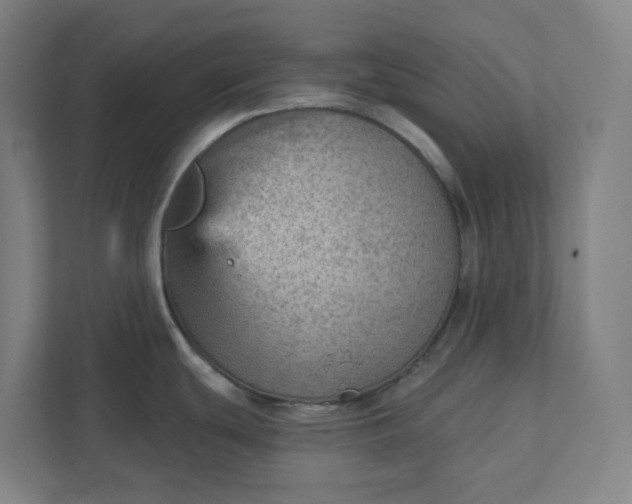 X0000111941439200908101153