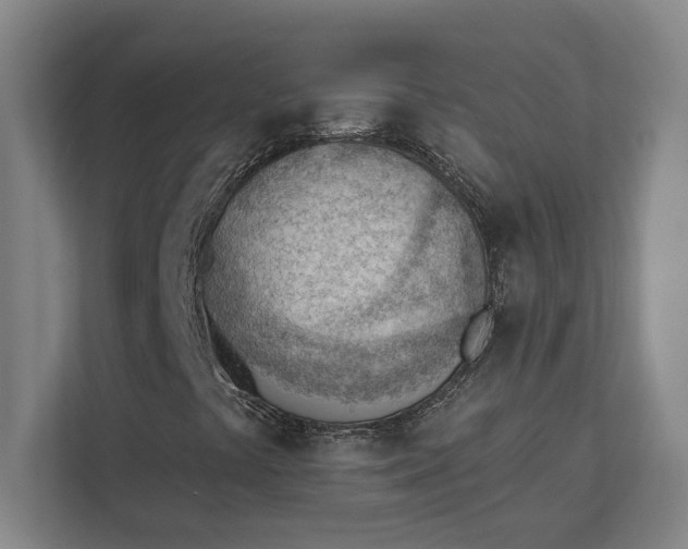 X0000111941441200908101152