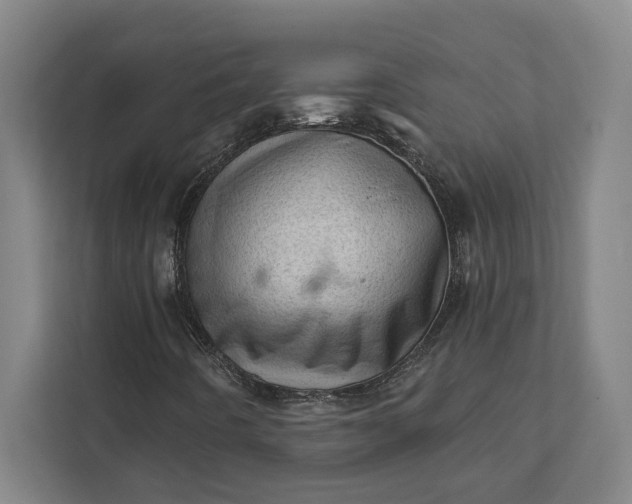 X0000111941442200908101152