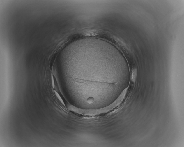 X0000111941444200908101152