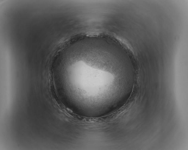 X0000111941445200908101152