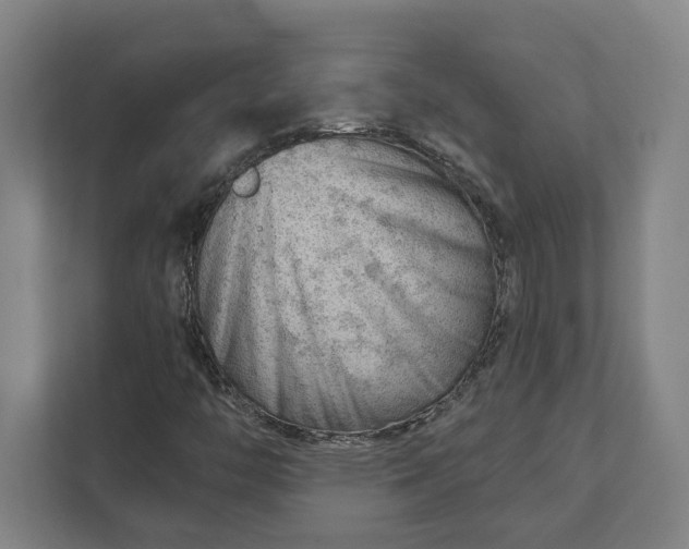 X0000111941446200908101152