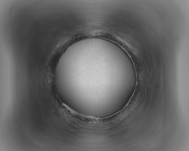 X0000111941447200908101152