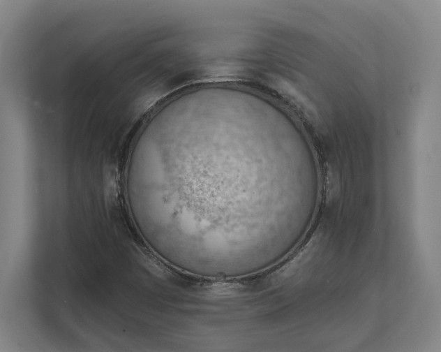 X0000111941449200908101152