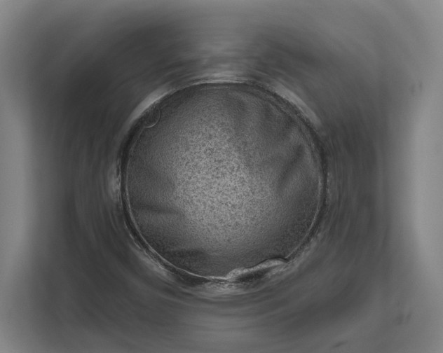 X0000111941450200908101152