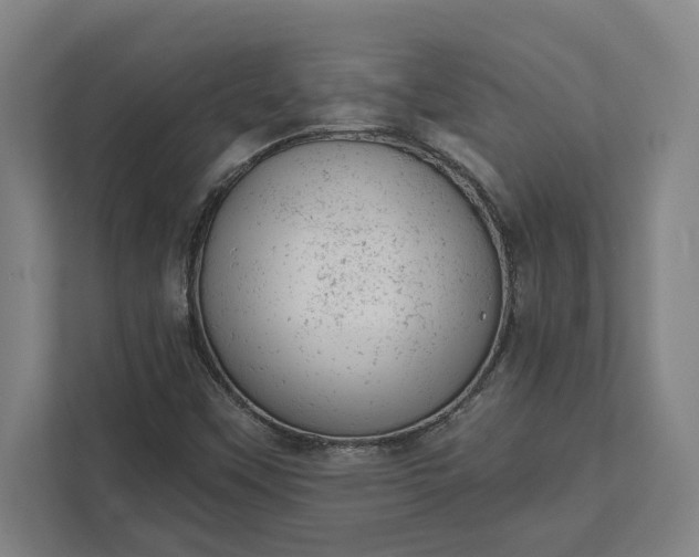 X0000111941451200908101152