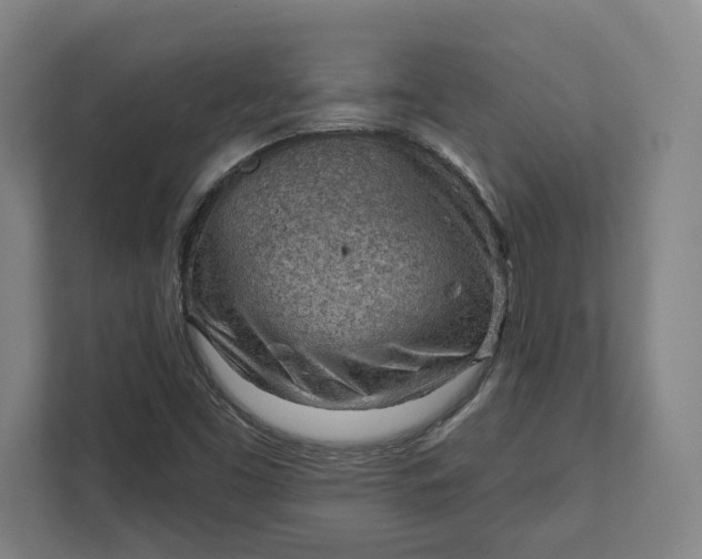 X0000111941453200908101152