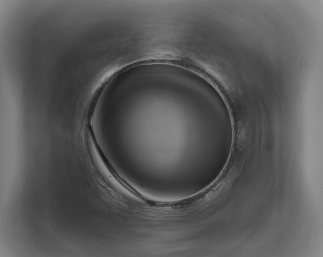 X0000111941455200908101152