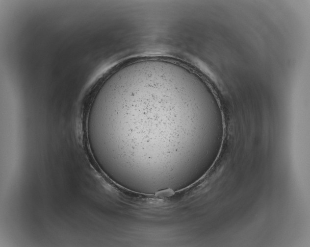 X0000111941456200908101152