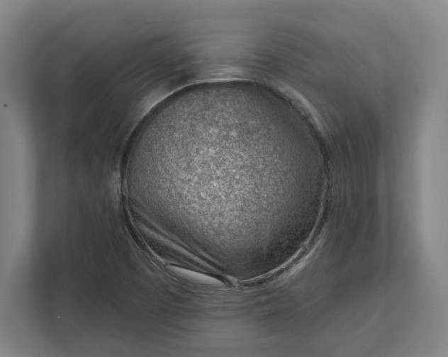 X0000111941457200908101152