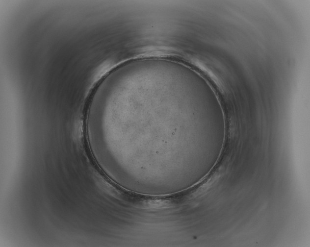 X0000111941459200908101152