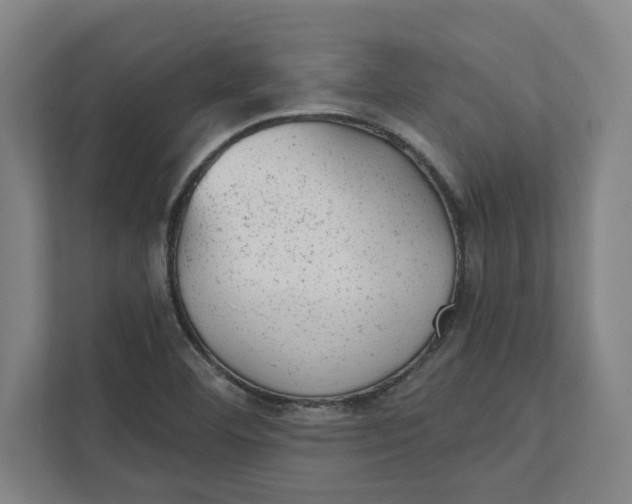 X0000111941460200908101152