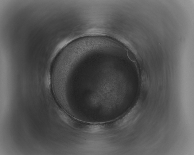 X0000111941461200908101152