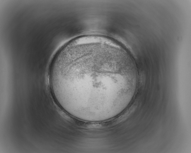 X0000111941462200908101152