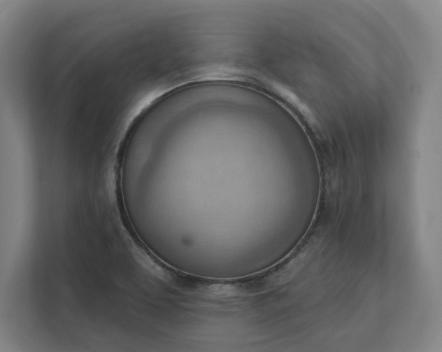 X0000111941463200908101152