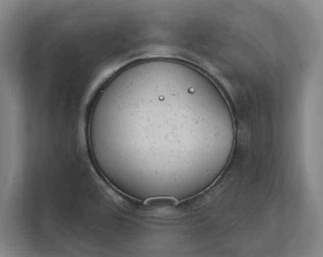 X0000111941464200908101152