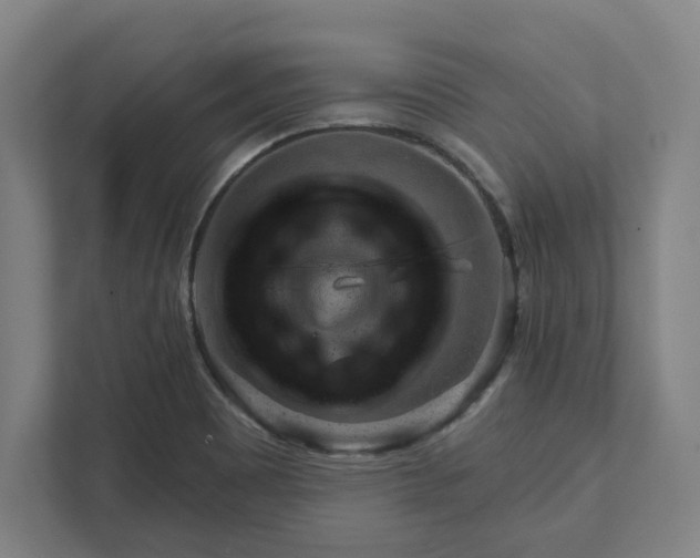 X0000111941465200908101152