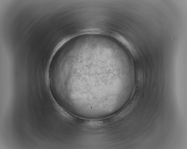 X0000111941466200908101152