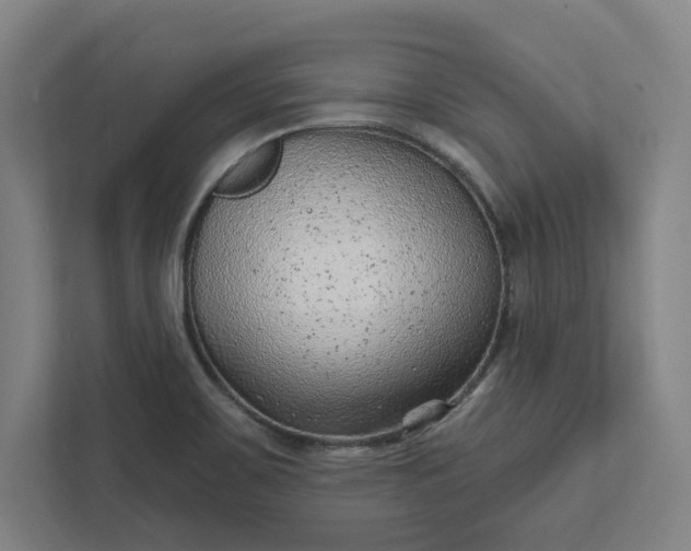 X0000111941467200908101152