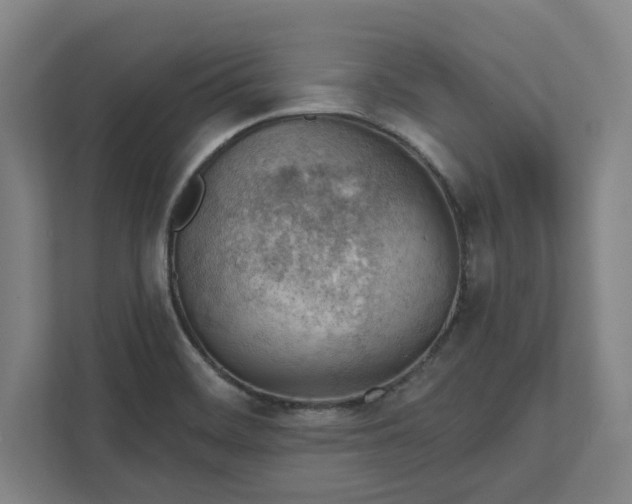 X0000111941468200908101152