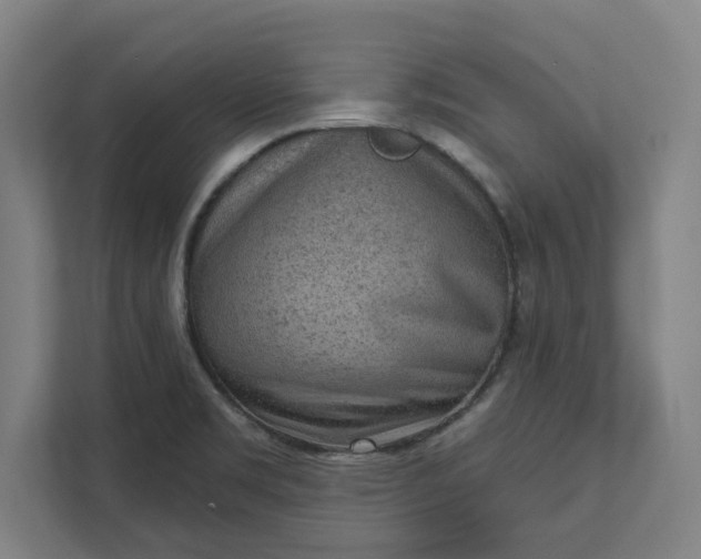 X0000111941469200908101152