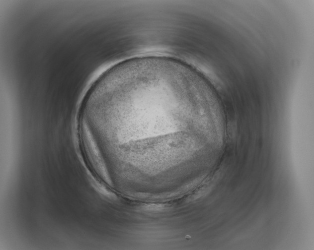 X0000111941470200908101152